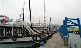 Hàng trăm con tàu du lịch “chết lặng” trên vịnh Hạ Long. Ảnh: Hoàng Dương 