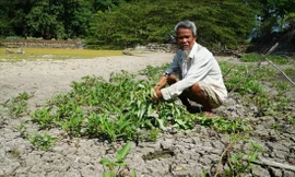 Ông Bình ngồi trên ao cá trơ đáy của mình. Ảnh: Nguyễn Ngọc