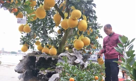 Hoàn KTS. Ảnh: M.Đ 