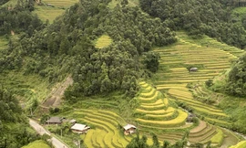 Một cảnh trên đường đi Mù Cang Chải. Ảnh trong trang: Lê Xuân Sơn 