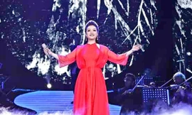 Tân Nhàn biểu diễn trong liveshow Trở về 