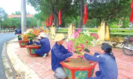 Nhiều chậu hoa, cây xanh được làm đẹp đường phố 