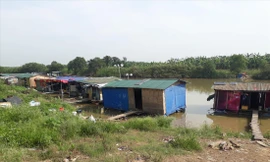 Xóm chài bãi giữa sông Hồng.      Ảnh: P.V 