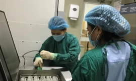 Sữa trước khi đưa vào lưu trữ tại Ngân hàng sữa mẹ được thanh trùng, xử lý kỹ càng để đảm bảo chất lượng cho các em bé sơ sinh sử dụng