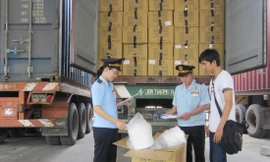 Công chức Hải quan kiểm tra thực tế hàng hóa xuất nhập khẩu của doanh nghiệp 