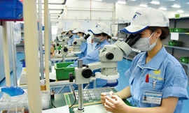 Bất chấp COVID-19, FDI vẫn 'chảy' vào Việt Nam: Điểm đến an toàn