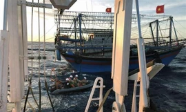 Các tàu cá phối hợp tìm kiếm cứu nạn 