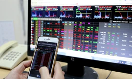 Chứng khoán giảm sâu trong ngày 19/1. Ảnh: Như ý