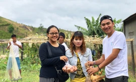 Đại diện nhóm tặng mỗi hộ 2 cặp gà giống và trứng gàẢnh: H.T.N 