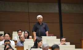 Đại biểu Dương Trung Quốc. Ảnh: Như Ý 