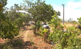  Phát hiện thi thể cháy đen tại rẫy cà phê 