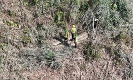 Bắt đối tượng phá hơn 6.000m2 rừng ở Đắk Nông