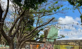 Tuyến phố cà phê miễn phí đẹp ngất ngây, hút khách tới Đắk Lắk