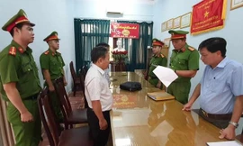 Phối giống bò 'trên giấy', 10 cán bộ bị khởi tố