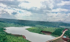 Nguy cơ vỡ hồ chứa nước gần 138 tỷ mới hoàn thành ở Đắk Nông