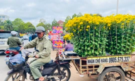 Kiếm tiền triệu nhờ nghề vận chuyển hoa, cây cảnh ngày 30 Tết