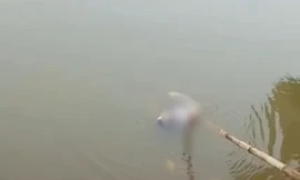 Phát hiện thi thể đang phân hủy ở đập chứa nước