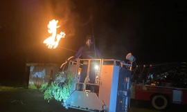 Nín thở xem cảnh sát xử lý nhiều tổ ong vò vẽ 'khủng' ở công viên