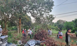 Đắk Lắk: Phát hiện thi thể đang phân hủy gần trường học