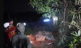 Hai phụ nữ hái rau muống, tử vong nghi do điện giật