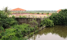 Cty Quốc Việt bắt cá sấu, không bồi thường cho dân