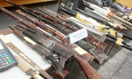 Ảnh minh họa. Nguồn: Tuấn Nguyễn