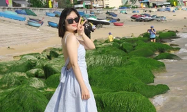 Bạn trẻ đua nhau đến check in 'thảm' rêu non độc đáo ở Quy Nhơn lúc bình minh