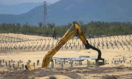 Thi công "nhầm", chặt phá, san ủi hơn 5ha rừng phòng hộ ven biển.