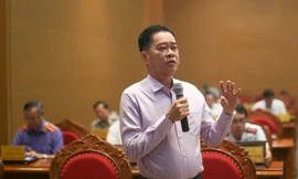 Thông tin việc nhiều doanh nghiệp ở Bình Định dừng hoạt động, giải thể