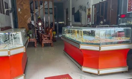 Nghi phạm cướp tiệm vàng bị bắt khi đang lẩn trốn trên đọt cây dừa