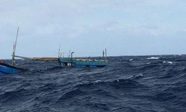 Tàu cá bị sóng đánh chìm 1 người chết, 1 người mất tích. Ảnh minh họa