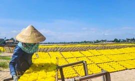 Làng nghề bún ‘tiến vua’ nổi tiếng nhất Bình Định nhộn nhịp vào Tết