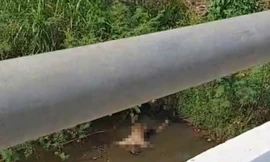 Bình Định: Phát hiện thi thể nam giới đang phân hủy nổi trên mặt nước