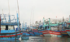 Đề nghị Bộ Công an chỉ đạo điều tra đường dây 'cò' đưa tàu cá ra nước ngoài khai thác trái phép