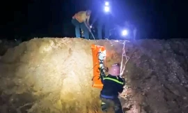 Lên núi tìm cây thuốc, người phụ nữ ở Bình Định bị ong đuổi đốt, ngã tử vong