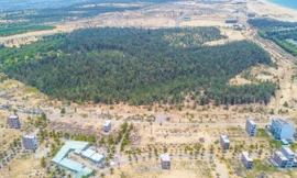 Chủ tịch Bình Định yêu cầu rà soát, xử lý loạt dự án trong Khu kinh tế Nhơn Hội