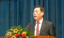 Bình Định xử phạt 15 dự án 