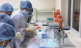 Bình Định thêm 7 ca nhiễm COVID-19.