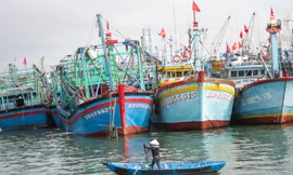 Bình Định hỗ trợ hơn 2 tỷ đồng lắp đặt thiết bị giám sát hành trình cho 'nhóm tàu nguy cơ vi phạm cao'