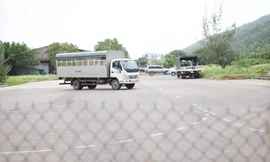 Doanh nghiệp mới thành lập trúng đấu giá 2 dự án 'khủng' ở Bình Định