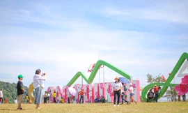  Bình Định 'hái ra tiền' nhờ du lịch 