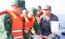 Bình Định xử phạt 4 tàu cá không duy trì giám sát hành trình trên 10 ngày