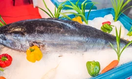 Nhiều đầu bếp thế giới sắp tới Bình Định 'lên mâm' cá ngừ đại dương