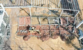 Vụ sập tường khiến 5 người chết ở Bình Định: Địa phương báo cáo gì?