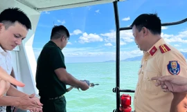 Bình Định thả cá thể đồi mồi quý hiếm nặng 1,5kg về biển