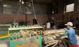 Bình Định dành hơn 6 tỷ đồng đào tạo nghề nông nghiệp cho lao động nông thôn