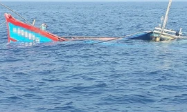 Tàu cá ngư dân Bình Định bị đâm chìm 