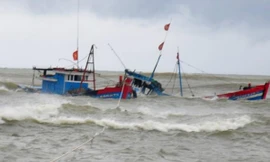 Tàu hàng đâm va với tàu cá 2 thuyền viên rơi xuống biển mất tích. Ảnh minh họa