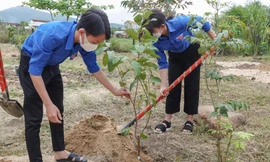 Tuổi trẻ Bình Định, Nghệ An ra quân Tháng Thanh niên năm 2022