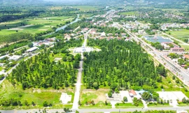 Nguyên Bí thư Huyện ủy giả chữ ký để 'thâu tóm' 115 ha đất rừng phòng hộ 